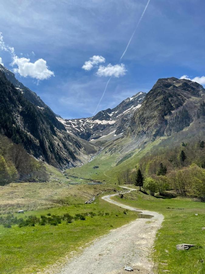Plein Sud