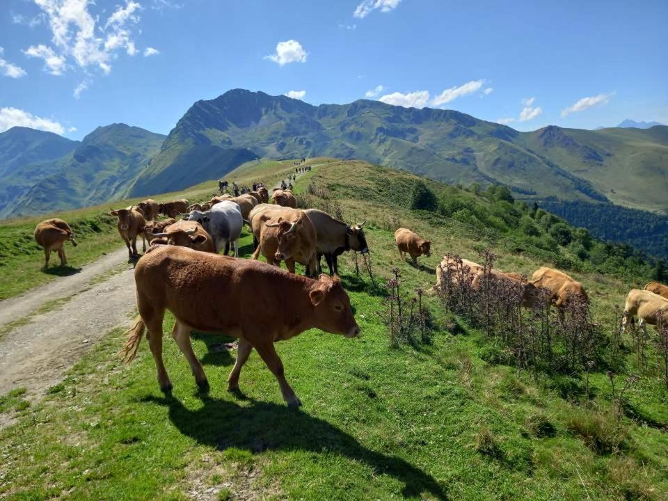 Plein Sud Saint-Aventin
