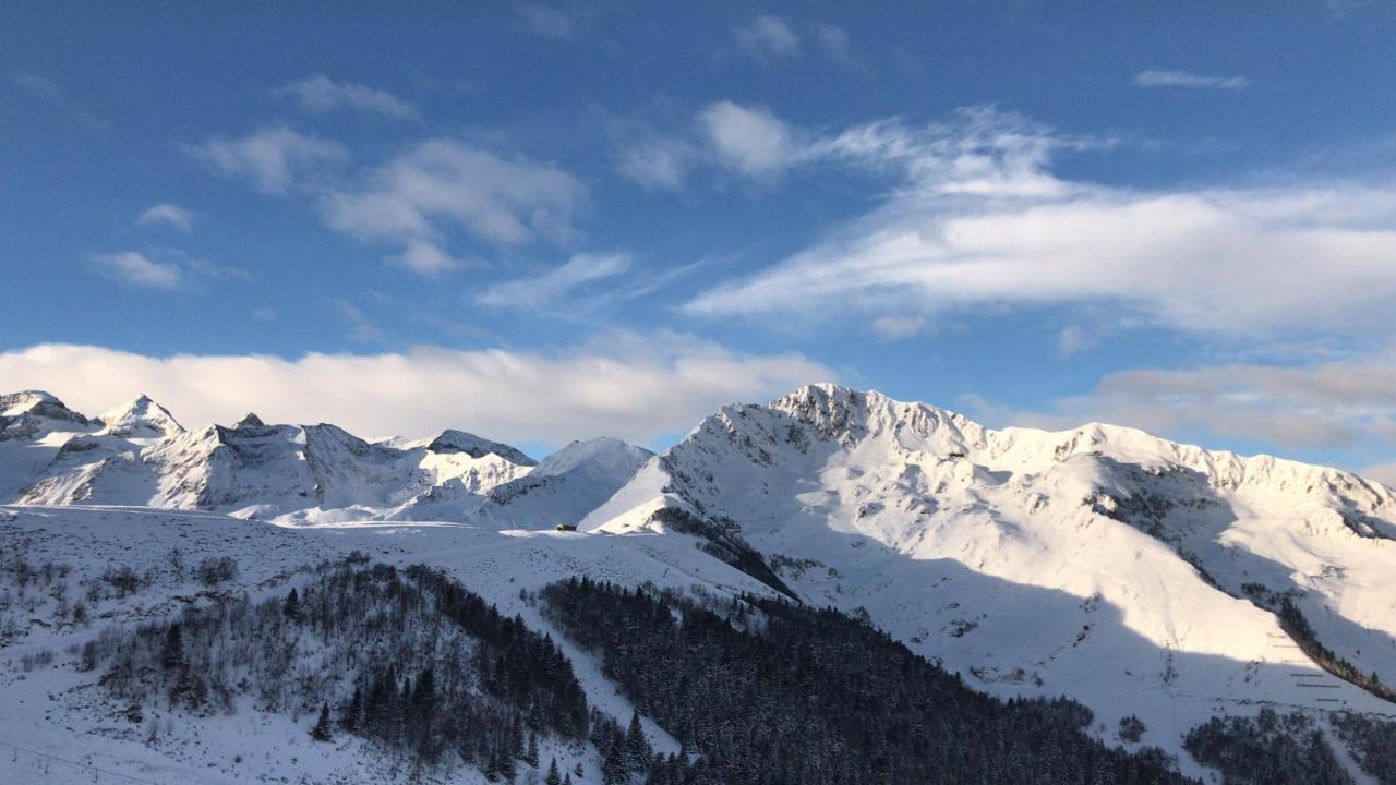 Plein Sud *