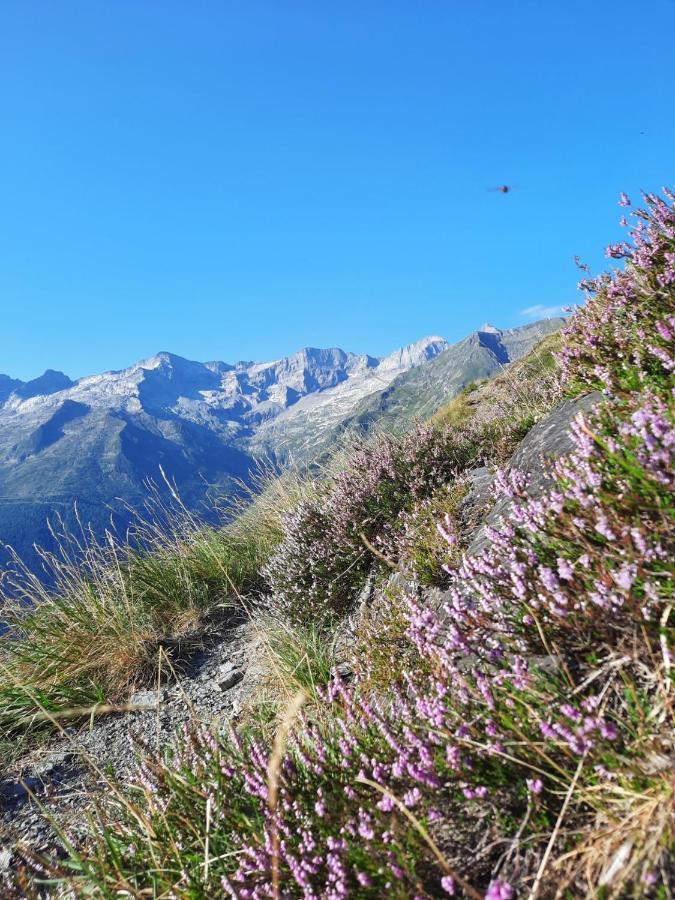 Plein Sud